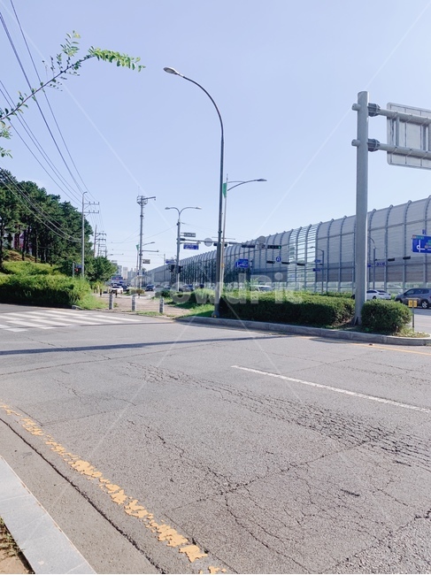 도로,화창,햇빛,신호등,교차로,road