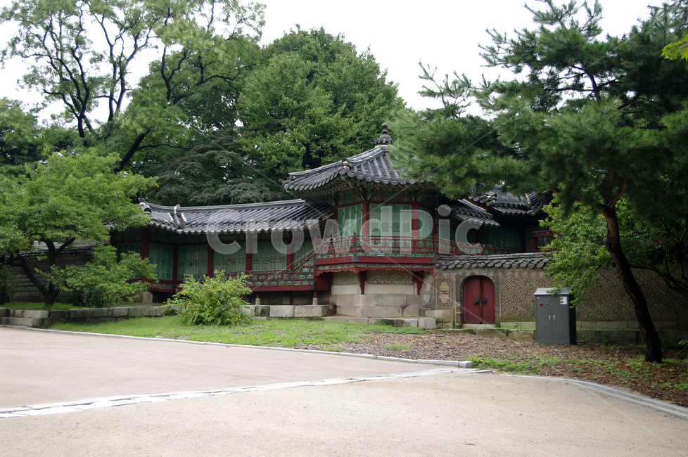 창덕궁,고궁,전각,한옥,전통가옥,기와지붕,건축,traditional,한국전통,한국문화,korean traditional,korean culture,랜드마크,landmark,tourist attraction,한국랜드마크,한국관광지,한국명소,korea landmark,korea tourist attraction,건축물,건물외관,exterior,building,structure,architecture,construction