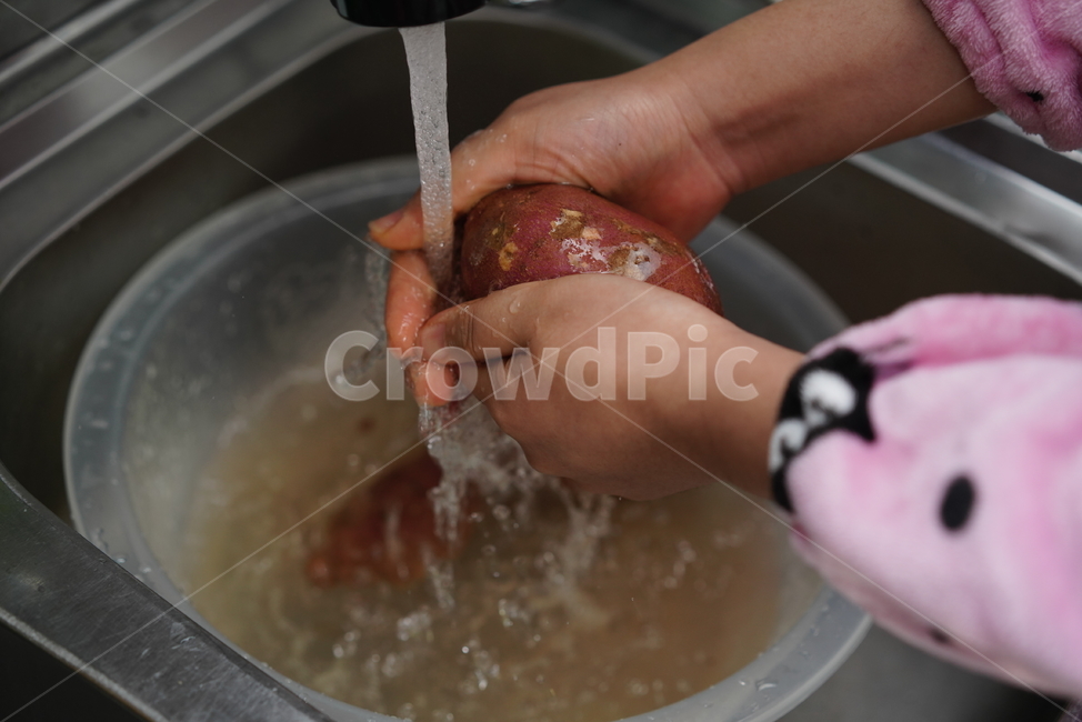 군고구마,고구마,간식,음식,food,먹방,겨울,식물,먹거리,작물,식재료,주방,키친,부엌,주방용품,요리도구,kitchen,kitchenware,cookroom,cookingutensil,음식,식재료,요리,food,cook,meal,dishes,food reserves