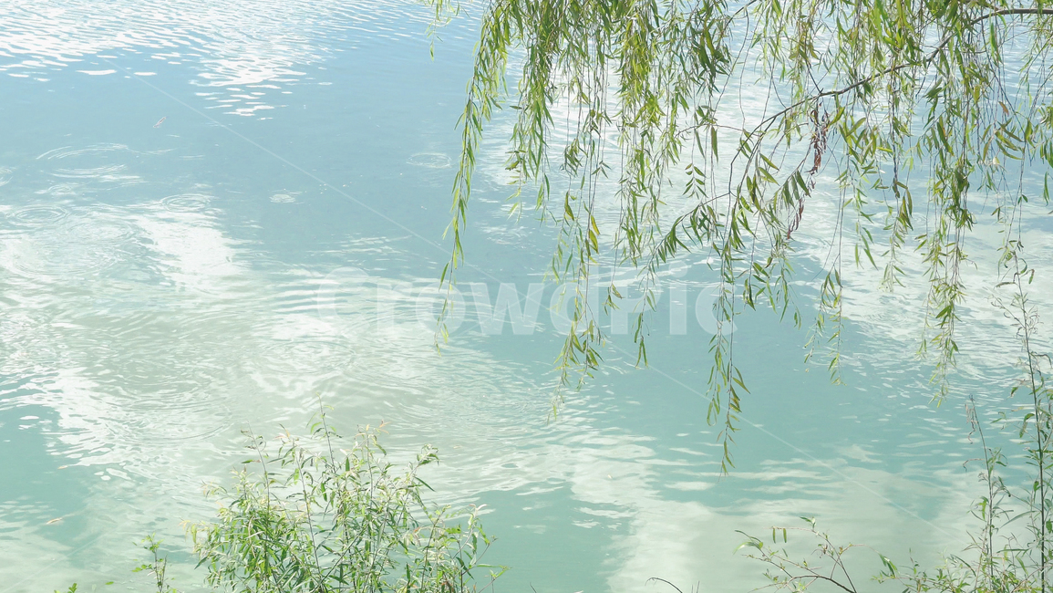 호수,풀,배경,자연,감성,자연,풍경,nature,landscape,water,물,outdoors,옥외