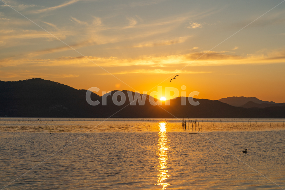 일몰,sunset,새,bird,바다,구름,cloud,붉은노을,redsky,nature,자연,animal,동물,light,빛,flare,플레어,sunlight,햇빛,자연,풍경,nature,landscape