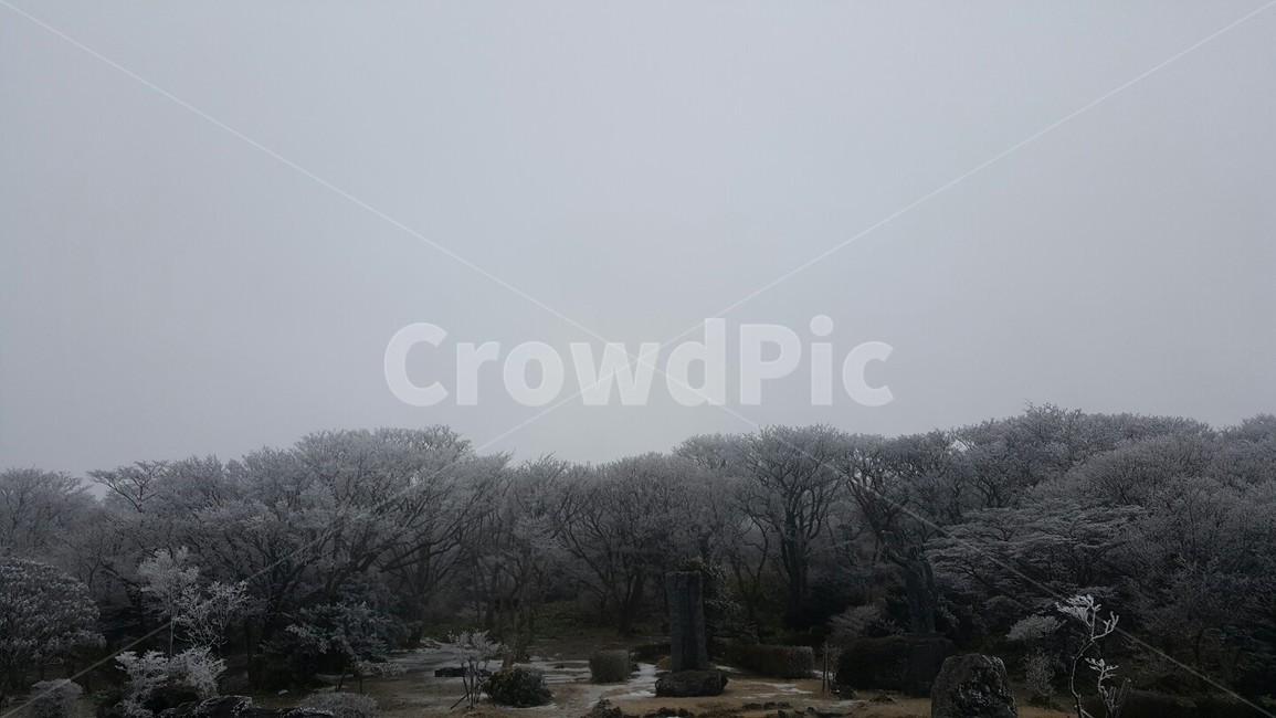 제주도겨울,겨울한라산,겨울풍경,설경,천백고지,겨울,계절,winter,season,자연,풍경,nature,landscape,outdoors,옥외,weather,날씨