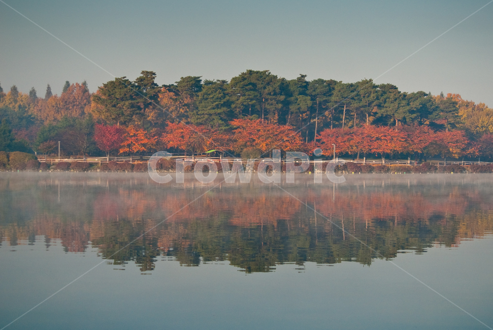 반영,호수,대칭,물안개,아침,water,물,nature,자연,outdoors,옥외,lake