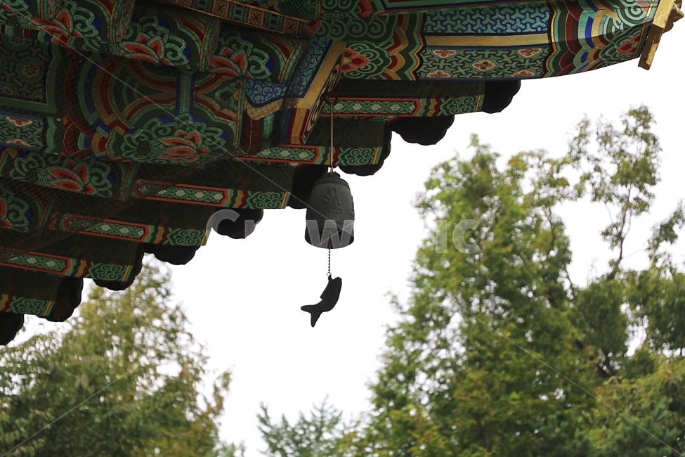 봉녕사,처마,추녀,풍등,물고기,절,비구니사찰,서까래,한국전통,한국문화,korean traditional,korean culture,건축물,건물외관,exterior,building,structure,architecture,construction