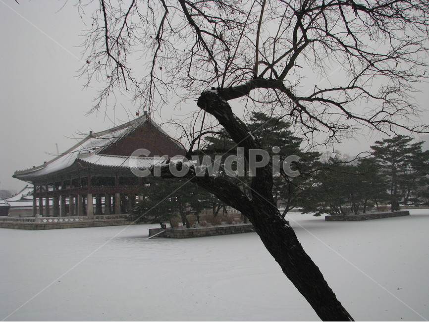 궁궐,경복궁,경회루,겨울,눈,호수,한국,대한민국,겨울,계절,winter,season,한국전통,한국문화,korean traditional,korean culture,랜드마크,landmark,tourist attraction,한국랜드마크,한국관광지,한국명소,korea landmark,korea tourist attraction,건축물,건물외관,exterior,building,structure,architecture,construction