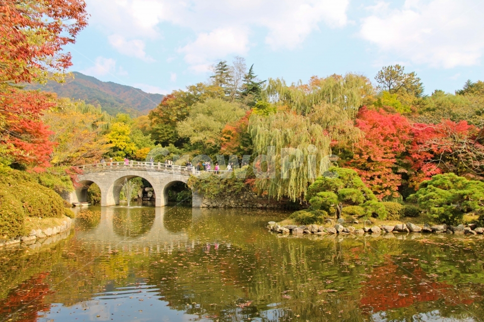 경주,가을,불국사,풍경,반영,여행,힐링,자유,알록달록,가을,계절,fall,autumn,season,자연,풍경,nature,landscape,한국자연풍경,한국자연경관,korea nature landscape,water,물,outdoors,옥외