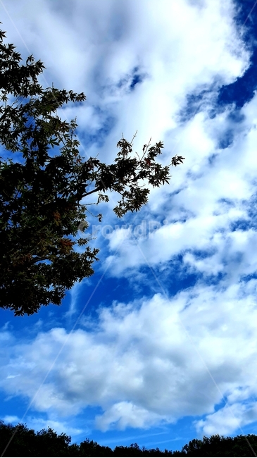 자연,푸른하늘,하늘,sky,옥외,nature,자연,풍경,nature,landscape,outdoors,azure sky,푸른 하늘