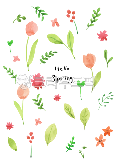 color,Callie,Tulip,spring,spring flowers,petal,botanical,drawing,english,tulip flower,decoration,floral,pretty,blossom,handwork,nature,tulip,leaf,flower,floral pattern,English,watercolor,painting,plant,illustration,hello,Watercolor,colorful,calligraphy