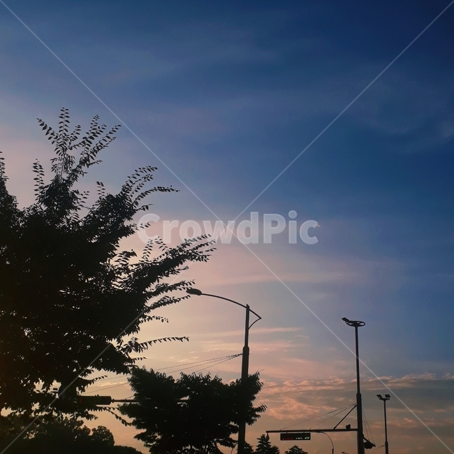 nature,자연,sky,하늘,노을,evening,저녁,cloud,구름,sunset,outdoors,야외,옥외,자연,풍경,nature,landscape,silhouette,실루엣