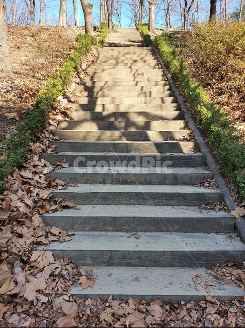 계단,낙엽,공원,staircase,flagstone,그림자,자연,풍경