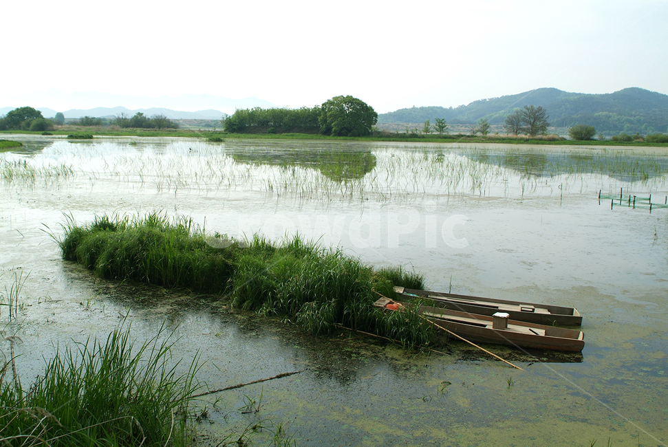 자연,강,배,우포,풀,자연,풍경,nature,landscape,한국자연풍경,한국자연경관,korea nature landscape,outdoors,옥외