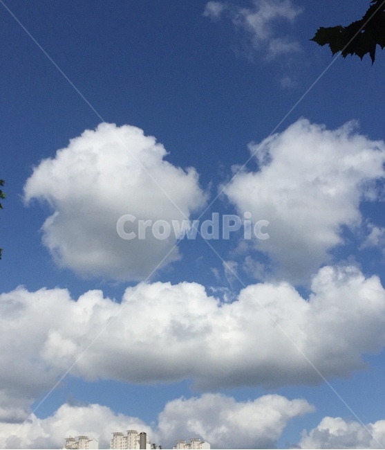 표정구름,웃는구름,개구리구름,사람구름,몽글구름,자연,풍경,nature,landscape,outdoors,옥외