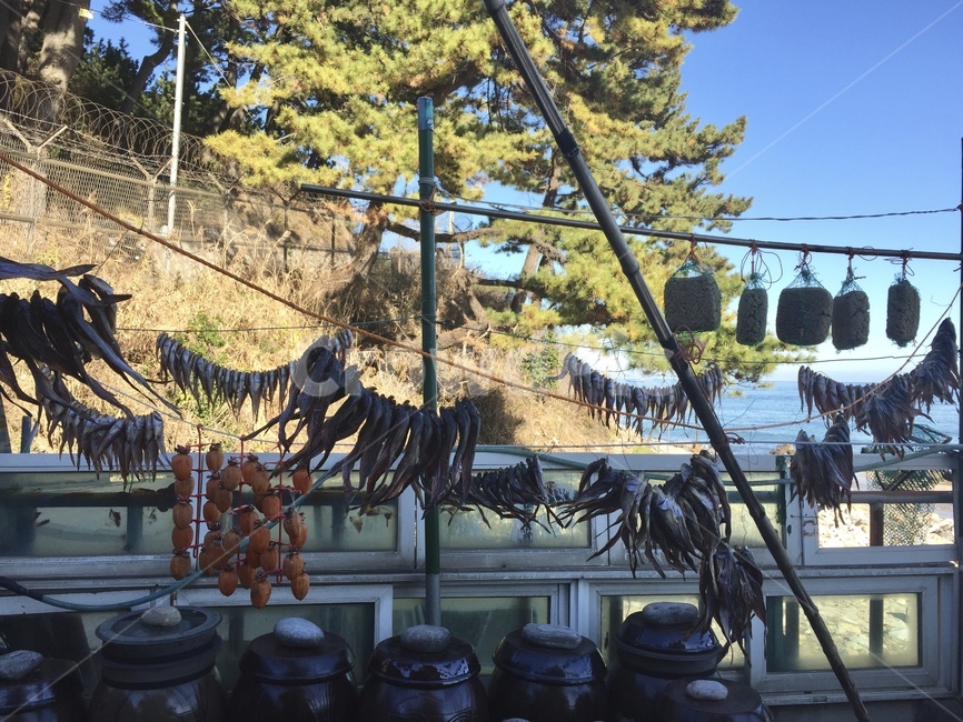 물고기,메주,곶감,시골,바다,sea,driedfish,driedpersimmon,countryside,fermentedsoybeanlump