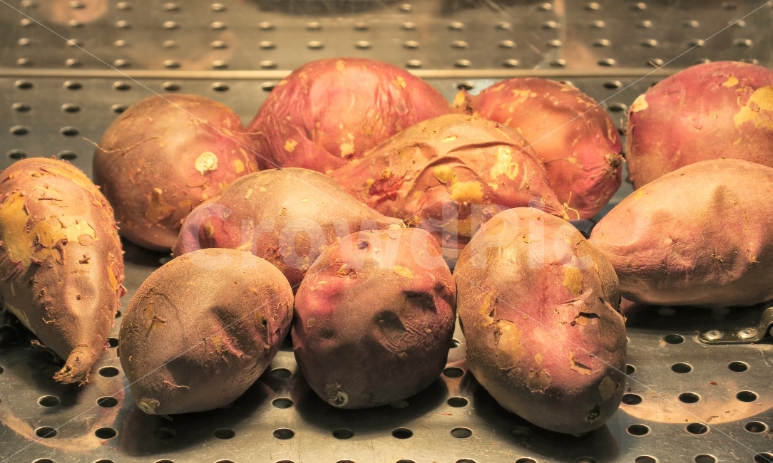 군고구마,고구마,구운,겨울,간식,달콤,건강,감성,추억,따뜻한,뜨거운,신선한,야채,신선,감자,튀김,유기농,요리,갈색,음식,식재료,요리,food,cook,meal,dishes,food reserves