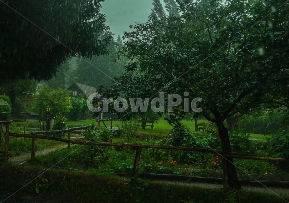 크로아티아,라스토케,요정마을,비,흐림,마을,숲,나무,식물,자연,plants,nature,나무,trees,wood