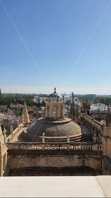 스페인,세비야,세빌리야,spain,sevilla,세비야대성당,성당,대성당,catholic,church,dome,둥근천장,architecture,건축물,뾰족한탑,steeple,건물,building,tower,탑,spire,첨탑
