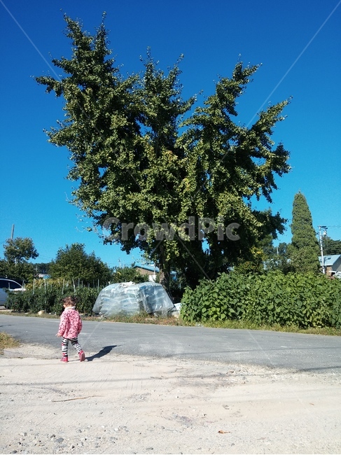 아이,나무,tree,키즈,자연,식물,자연,plants,nature,나무,trees,wood,사람,인물,인간,human,person,어린이,어린아이,child,children,kid