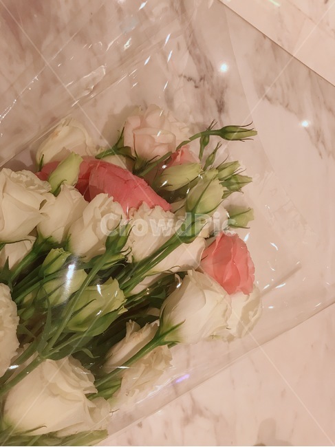 꽃,플라워,장미,꽃다발,핑크장미,핑크꽃,흰장미,꽃,flower