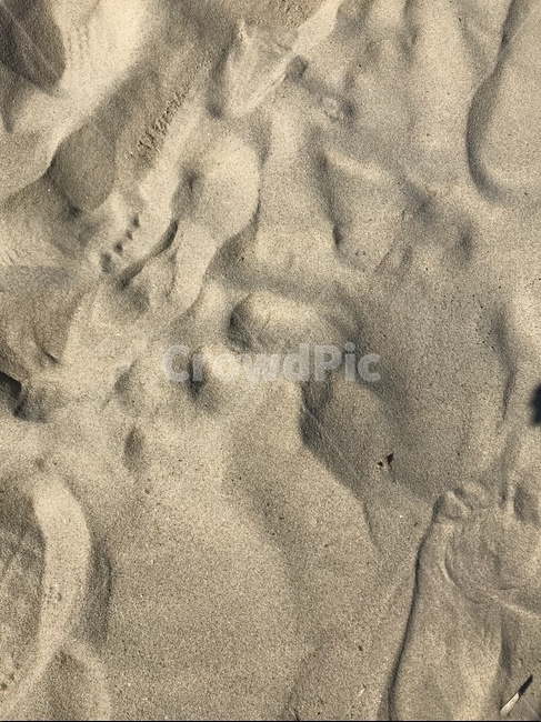 모래사장,모래,사구,신두리사구,sand,해변,바다,beach,sea