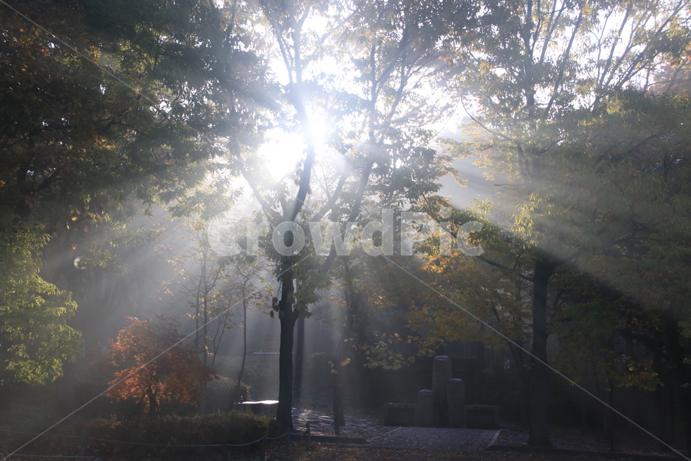 햇빛,플레어,sunlight,빛내림,light,날씨,nature,빛,weather,자연,자연,풍경,nature,landscape