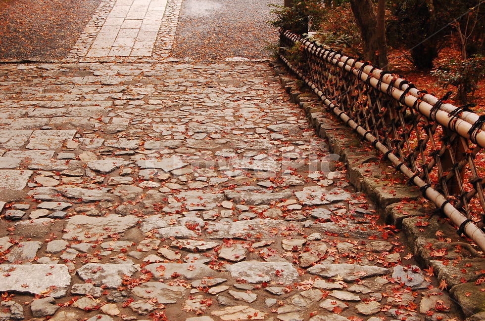 계단,길,가을풍경,겨울풍경,돌계단,바닥,가을,계절,fall,autumn,season,path,통로,walkway,보도,sidewalk,pavement,포장,flagstone,판석