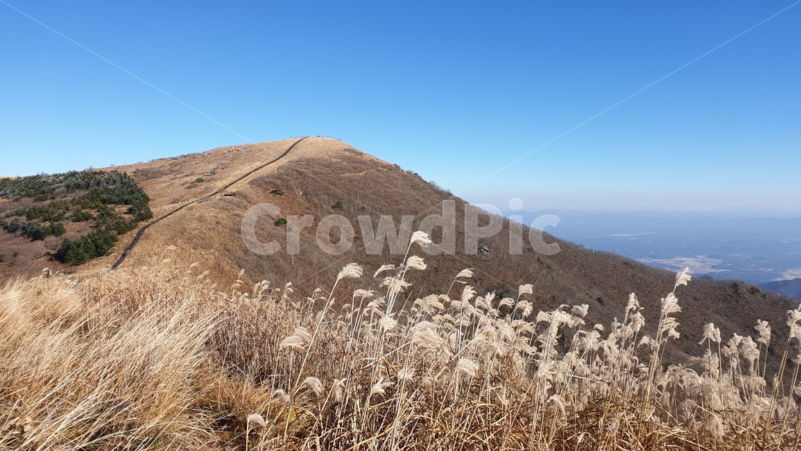 산,경치,소백산,가을,nature,정상,가을,계절,fall,autumn,season,grass,잔디,plant,식물