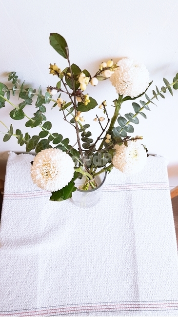 꽃병,흰꽃,초록,하얀색,희천,식물,자연,plants,nature,꽃,flower,실내용화초,화분,화초,house plant,인테리어,실내디자인,interior design