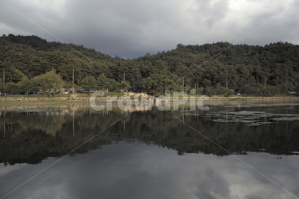 의림지,제천,소나무,나무,유원지,자연,자연,풍경,nature,landscape,water,물,outdoors,옥외,land,땅