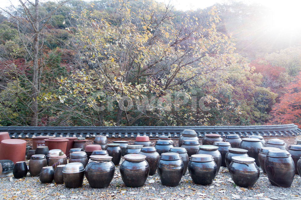 전통음식,장독대,장독,고추장,간장,음식,음식문화,발효식품,발효,김장독,김장,한국전통,한국전통,한국문화,korean traditional,korean culture