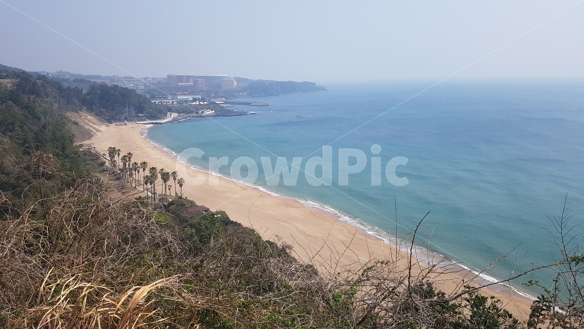 제주도,바다,배경,멋진,수평선