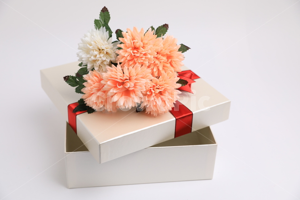 상자,선물상자,꽃,조화,기념일,생일,기프트,아름다운,리본,꽃,flower,기념일,축하,anniversary,congratulation,celebrate,celebration,사물,물건,오브젝트,thing,object,matter,누끼,remove background