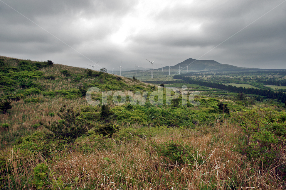 갑마장길,제주도,표선면,가시리,트레일,오름,따라비오름,자연,풍경,nature,landscape,제주도,jeju,jeju island