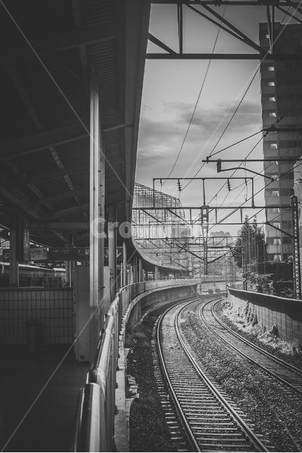 railway,철도,transportation,교통,기찻길,traintrack,레일,rail,흑백,모노톤,monochrome,black and white,교통,교통수단,traffic,transportation