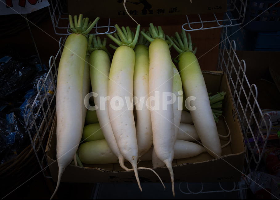 무,채소,radish,야채,시장,재래,음식,식재료,요리,food,cook,meal,dishes,food reserves,채소,야채,vegetables