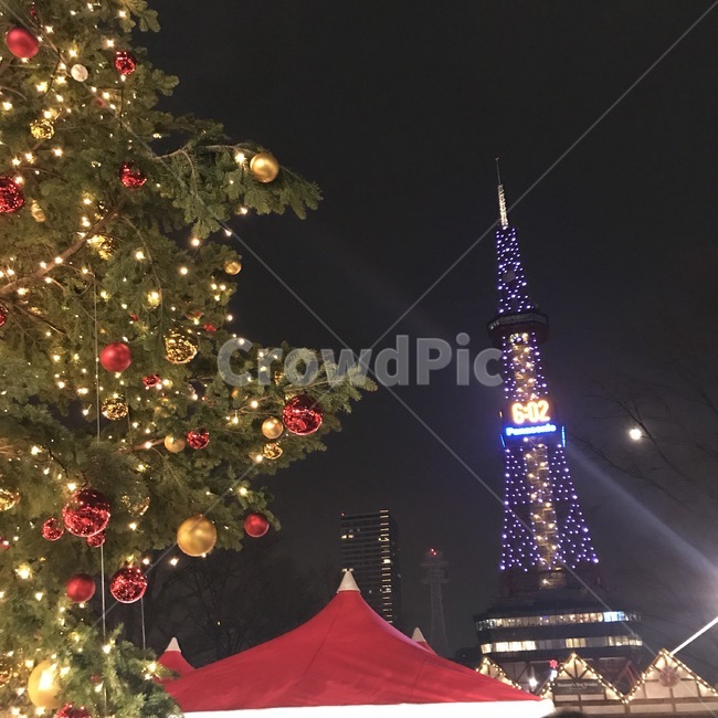 tree,나무,식물,크리스마스트리,christmastree,장식,테레비탑,삿포로,홋카이도,북해도