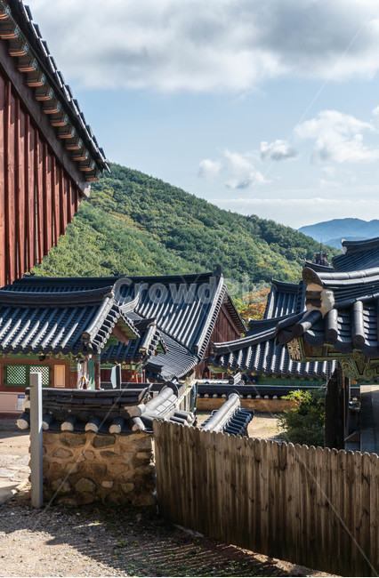한국,절,기와,전통가옥,한국의미,한옥,한국의정서,한국전통,한국전통,한국문화,korean traditional,korean culture