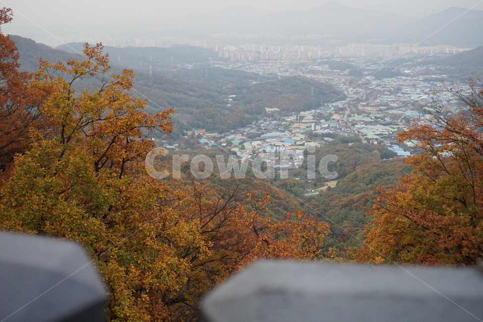 가을산,단풍,낙엽,나무,가을,남한산성,산성,가을,계절,fall,autumn,season,자연,풍경,nature,landscape,outdoors,옥외,경치,scenery,tree,plant,식물