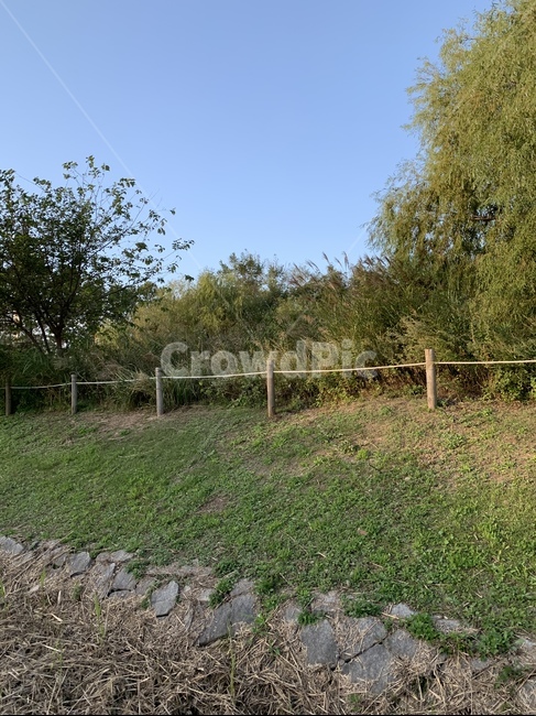 road,자연,nature,yard,마당,식물,자연,plants,nature,나무,trees,wood