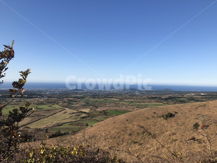 제주도,오름,억새,하늘,해질녘,가을,자연,역광,자연,풍경,nature,landscape,outdoors,옥외