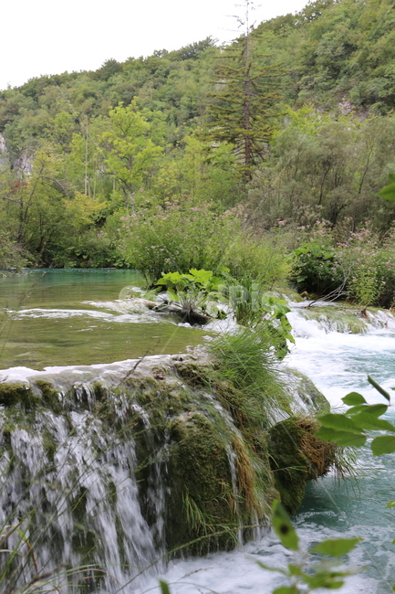 크로아티아,크로아시아,플리트비체,croatia,plitvice,plitvica,국립공원,공원,폭포,숲,요정숲,연못,강,호수,나무,여름,유럽,waterfall,pond,lake,park,tree,forest,자연,풍경,nature,landscape