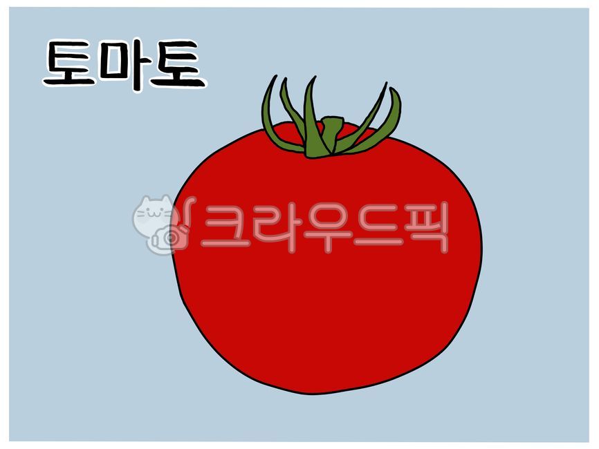 한글공부,한글낱말,토마토한글카드,토마토단어카드,토마토낱말카드,토마토일러스트,토마토그림,토마토,야채낱말카드,야채,한글단어,한글공부카드,한글단어카드,한글낱말카드,한글카드,낱말카드,단어카드,한글놀이,한글놀이카드