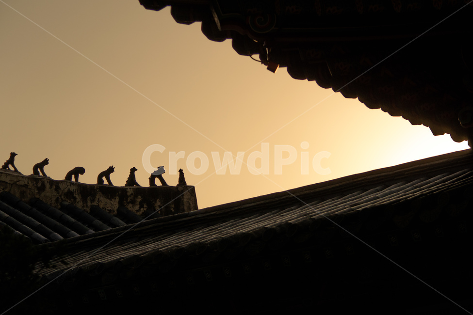 창경궁,노울,일몰,지붕,궁궐,한국전통,한국문화,korean traditional,korean culture,건축물,건물외관,exterior,building,structure,architecture,construction