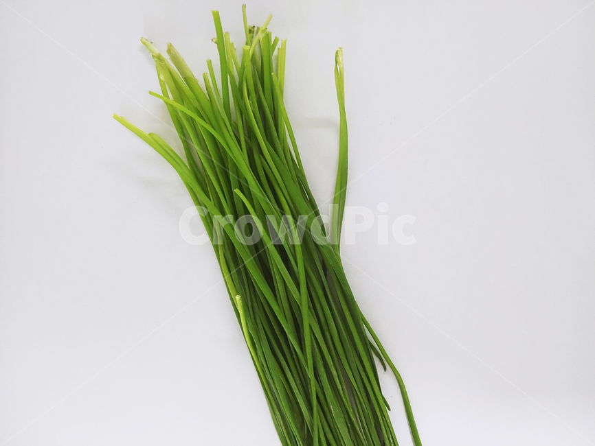 부추,식물,풀,plant,음식,채소