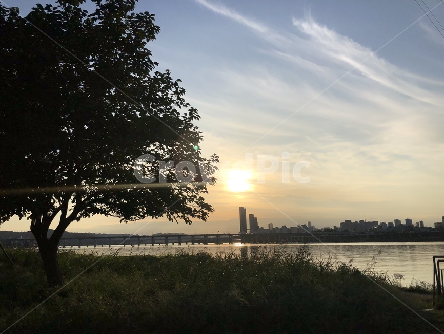 한강,저녁,노을,배경,감성,하늘,구름,일몰,자연,나무,tree,nature,outdoors,sky,sunset,sensible,feeling,background,자연,풍경,nature,landscape,flare,플레어,light,빛