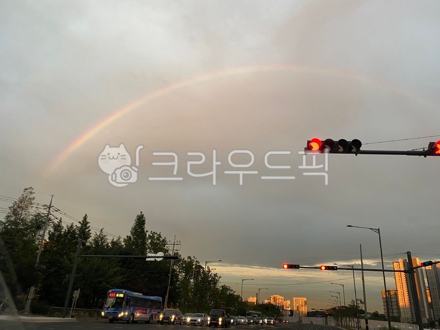무지개,노을,오후,도로위,도로위무지개