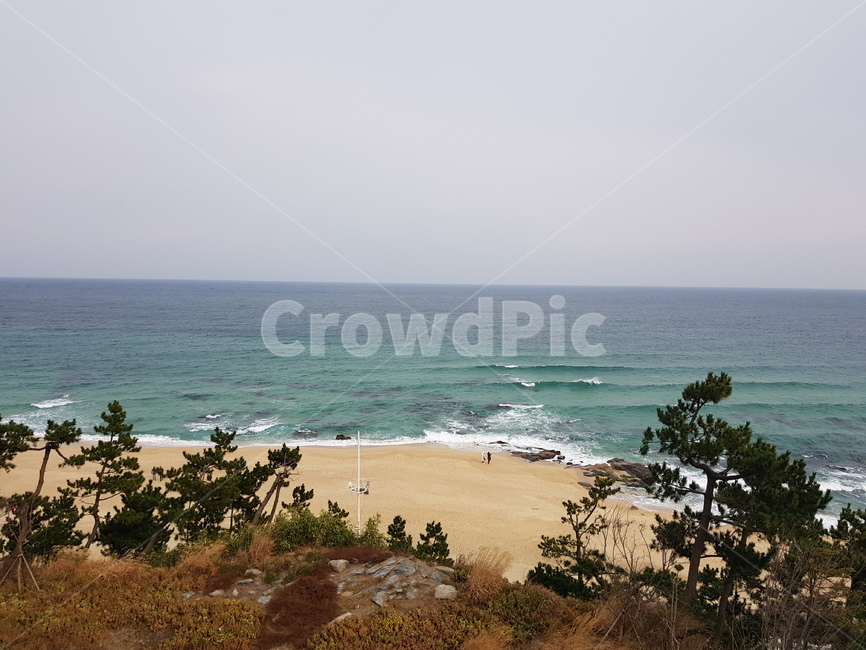 바다,강릉바다,겨울바다,소나무,겨울나들이,자연,풍경,nature,landscape,해변,바다,beach,sea,outdoors,옥외,water,물,ocean,대양,shoreline,해안선,land,땅,promontory,곶
