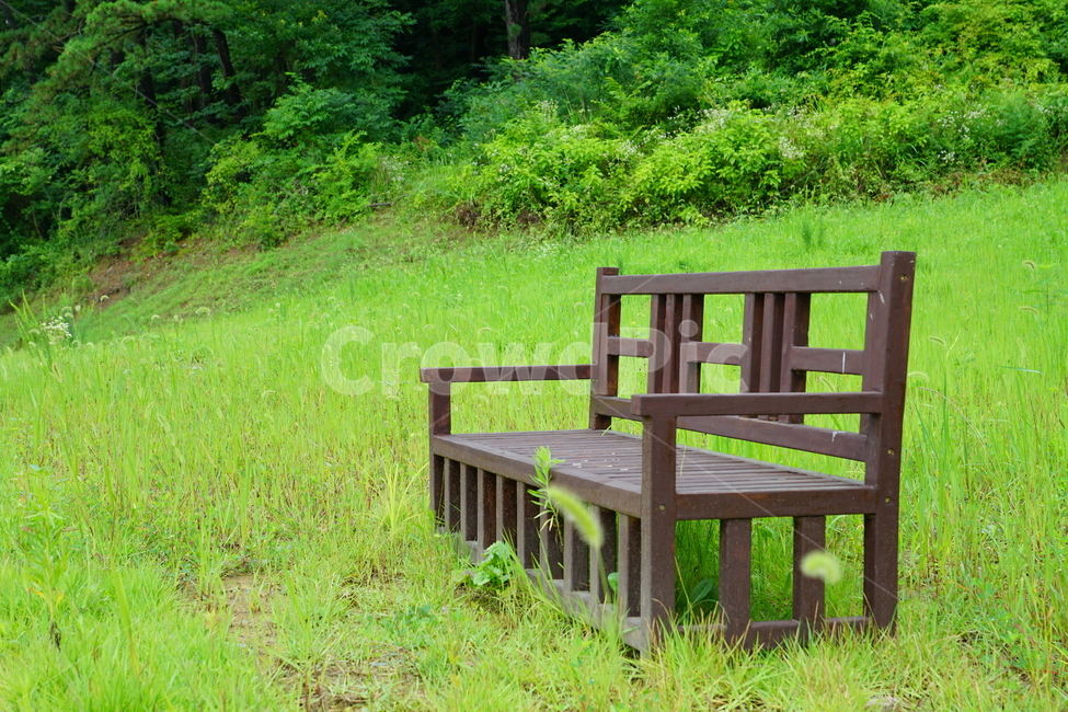 풍경,소품,공간,쉼터,배경,휴식,힐링,rest,relaxation,healing,사물,물건,오브젝트,thing,object,matter