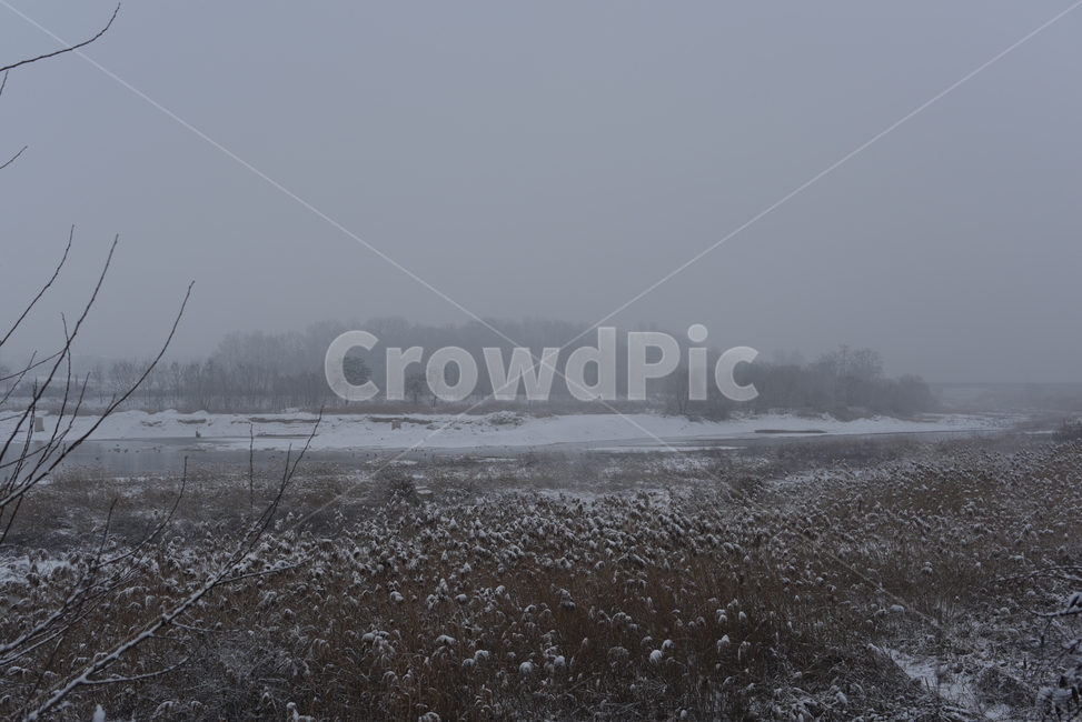 nature,자연,겨울,눈,풍경,snow,winter,겨울,계절,winter,season,자연,풍경,nature,landscape