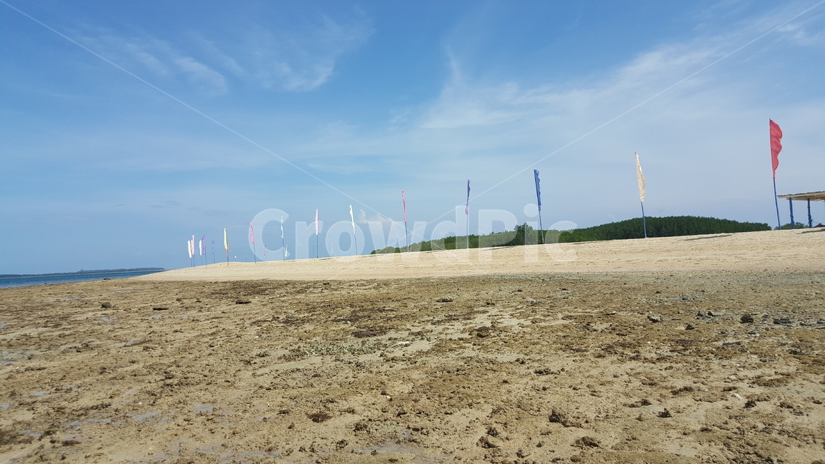 필리핀,보홀,깃발,바닷가,해안선,맑음,자연,풍경,nature,landscape,ground,바닥