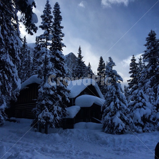 Canada,snowcovered house,snow,winter,winter landscape,trees